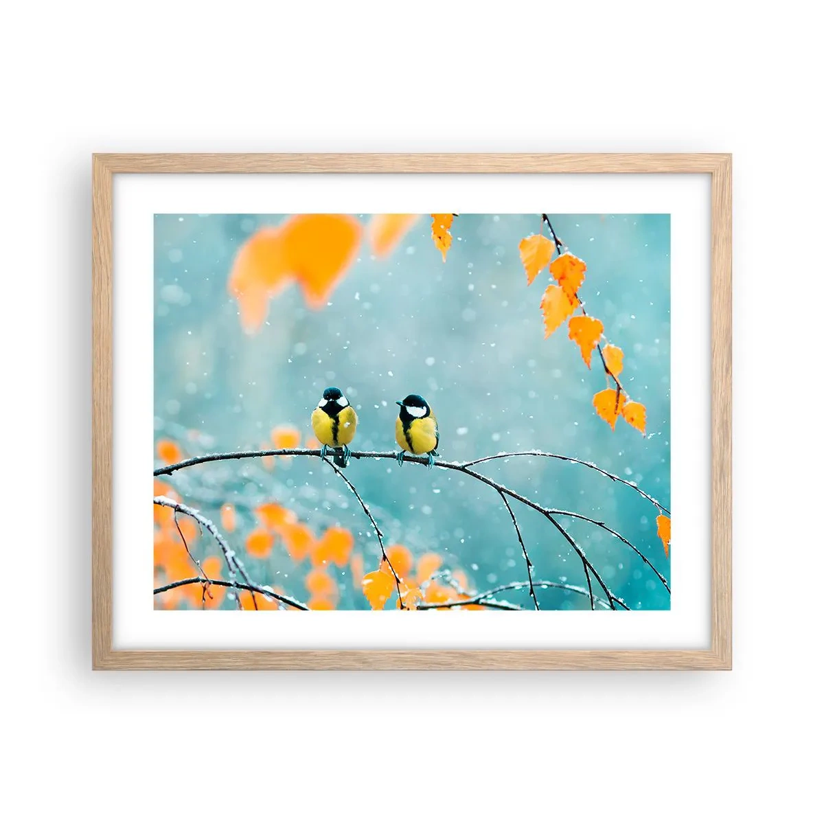 Pôster com moldura de carvalho claro - Fofoca de pássaros - 50x40 cm