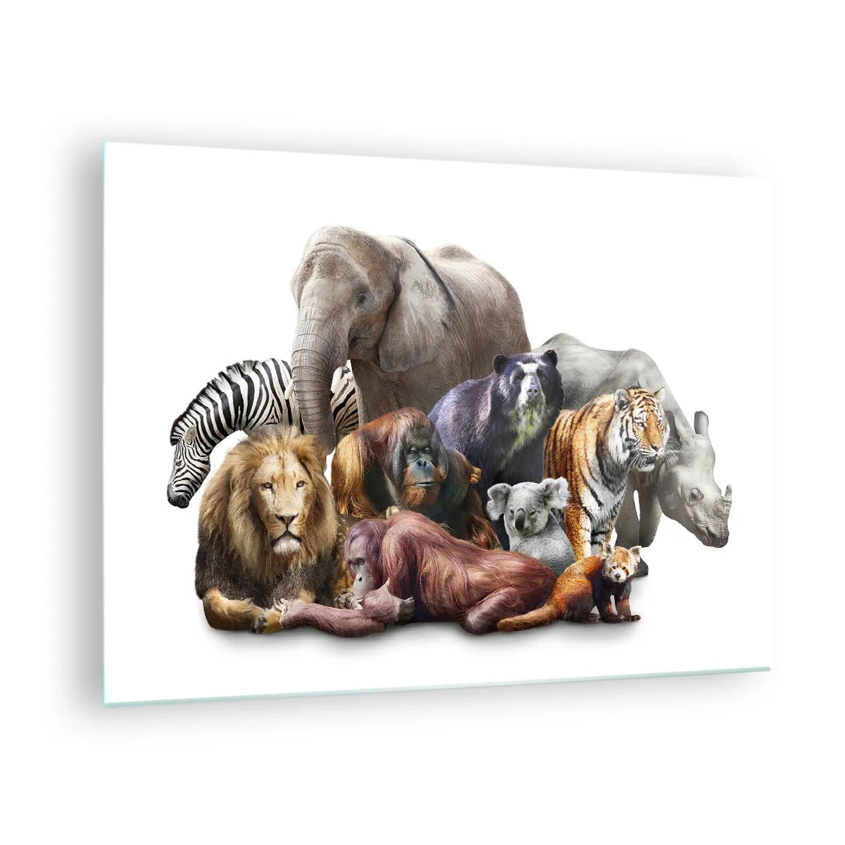 Quadro em vidro - Um grupo de animais selvagens em um fundo branco em uma foto artística - 70x50cm - Fotografia de uma família africana - Decoração de parede moderna para a sala de estar e quarto ARTTOR