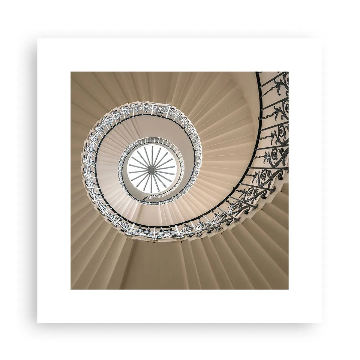 Pôster - Dentro da casca - 30x30 cm