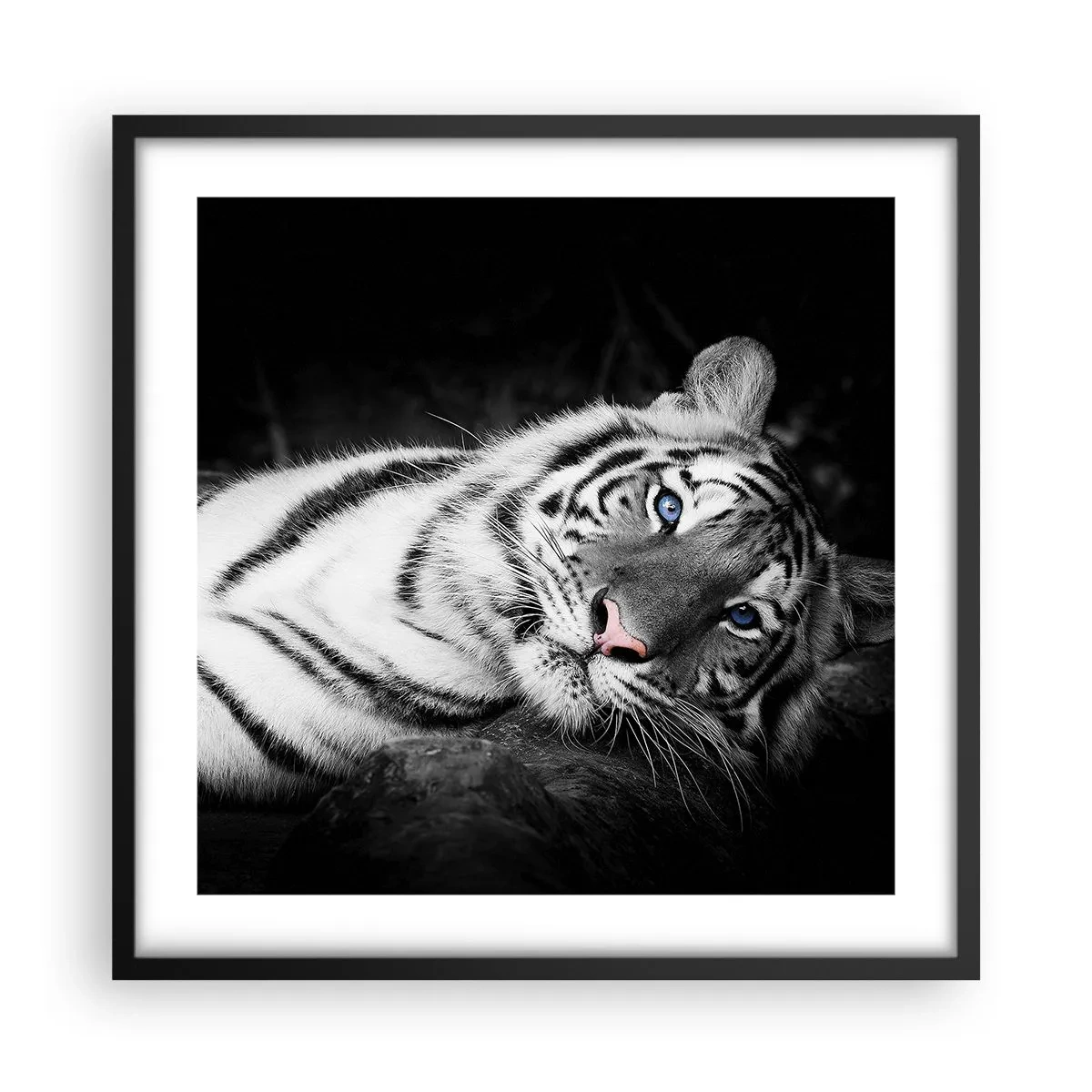 Pôster com moldura preta - Selvagem e tranquilo - 50x50 cm