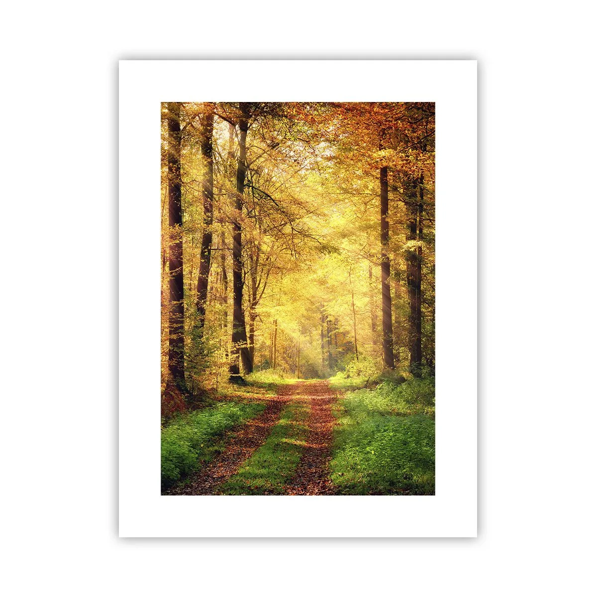 Pôster - Silêncio dourado da floresta - 30x40 cm