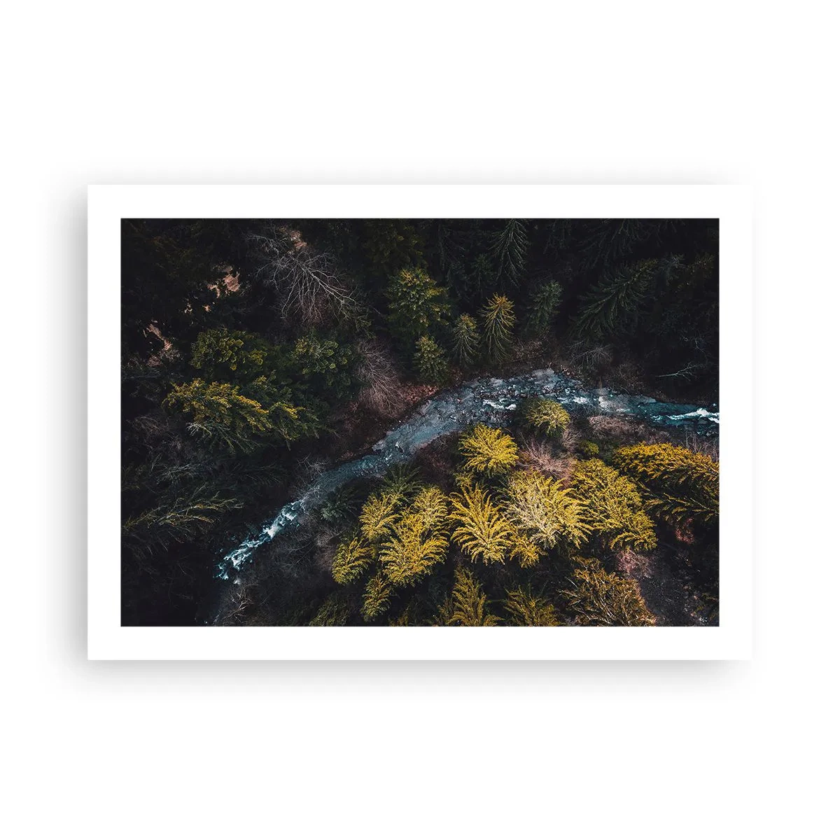 Pôster - Rápido e cada vez mais rápido - 70x50 cm