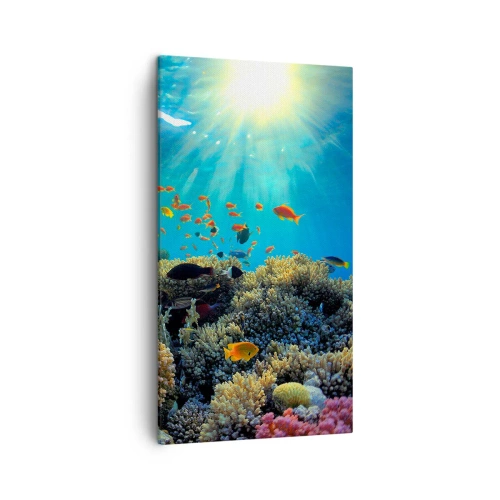 Quadro em tela - Tesouros subaquáticos - 45x80 cm