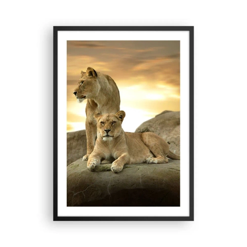 Pôster com moldura preta - Duas leoas contra o pôr do sol - 50x70cm - Majestade real - Decoração de parede moderna para a sala de estar e quarto ARTTOR