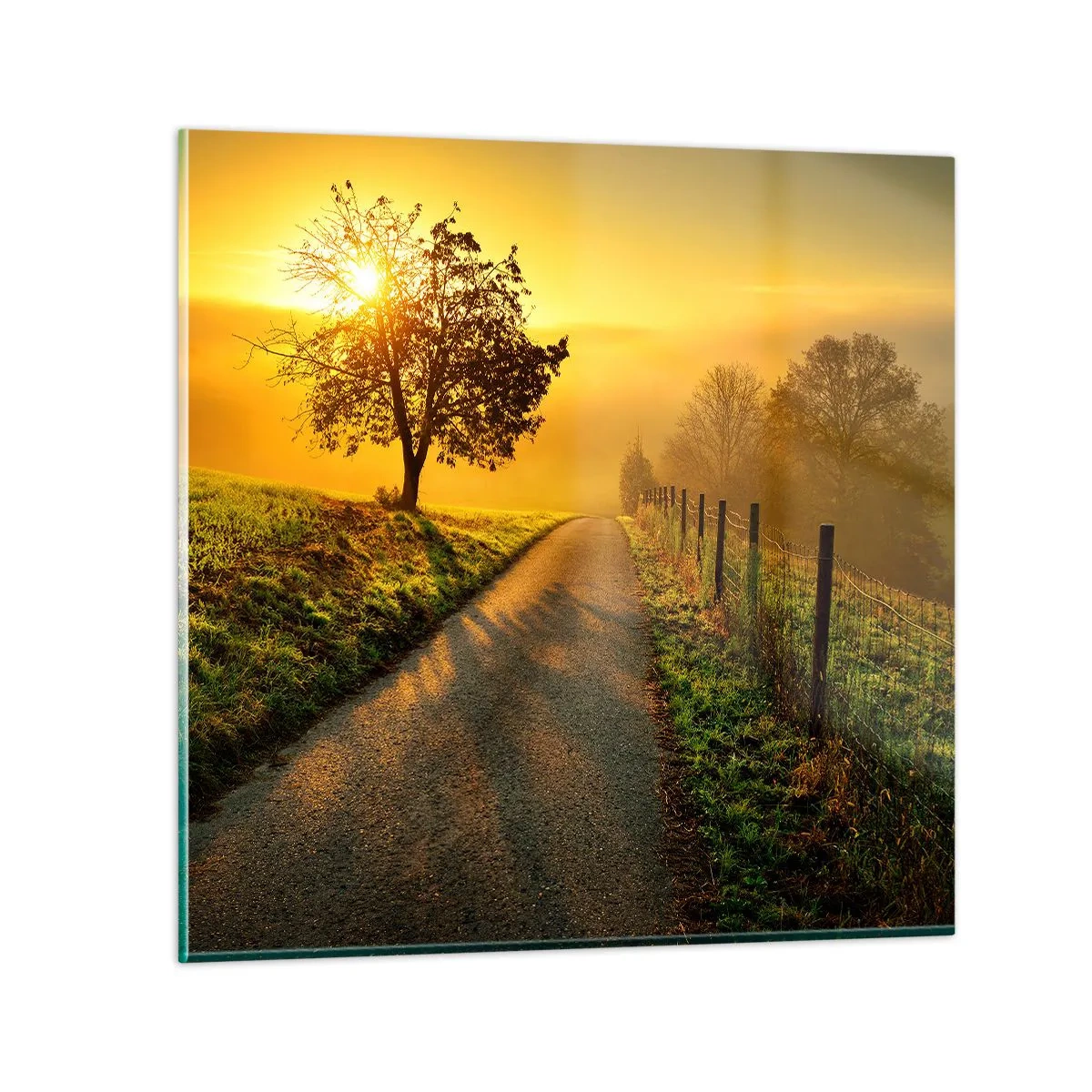 Quadro em vidro - Uma tarde agradável - 30x30 cm