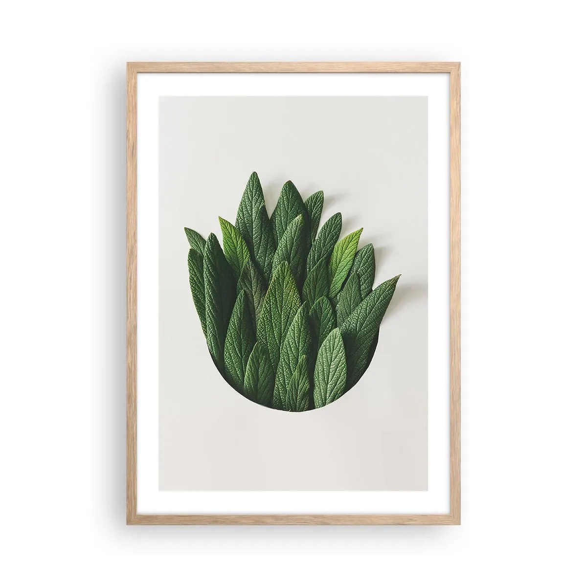 Pôster com moldura de carvalho claro - Curiosidade indomável - 50x70 cm