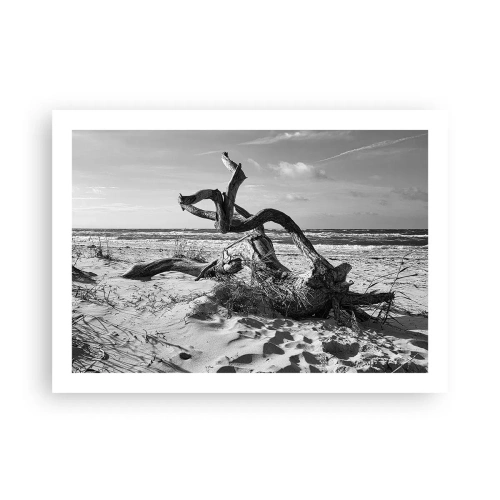 Pôster - Escultura do mar - 70x50 cm