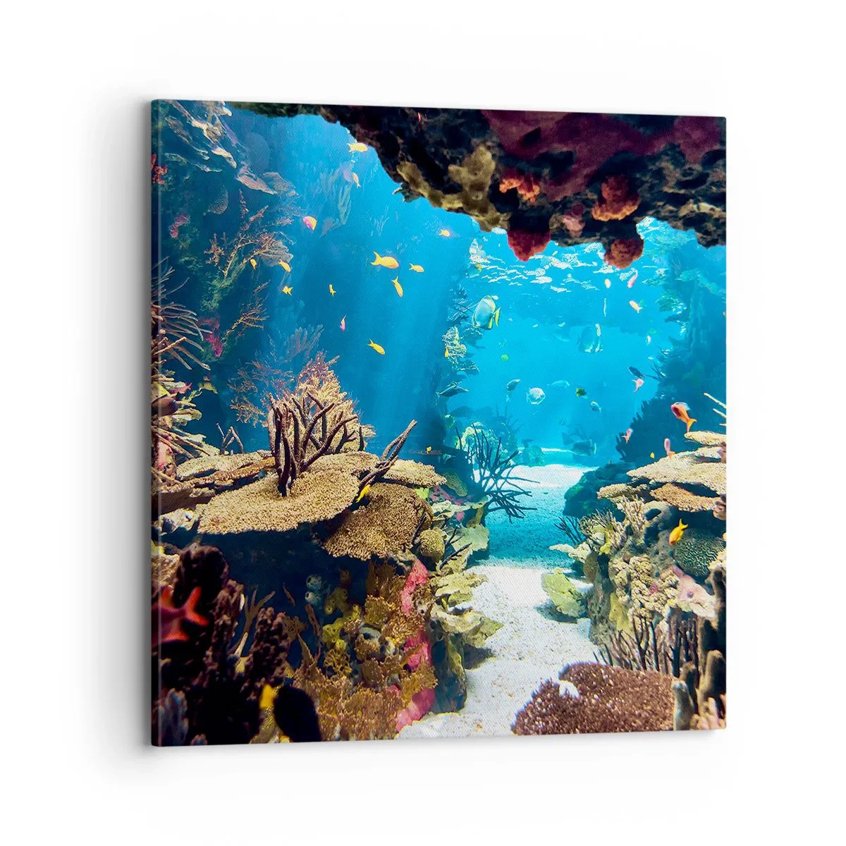 Quadro em tela - Mais belo que um sonho - 70x70 cm