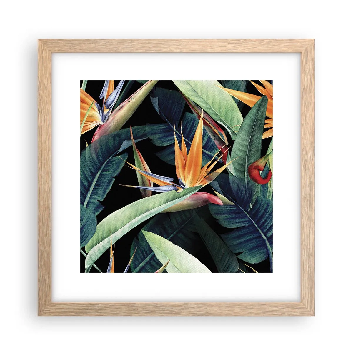 Pôster com moldura de carvalho claro - Flores ardentes dos trópicos - 30x30 cm