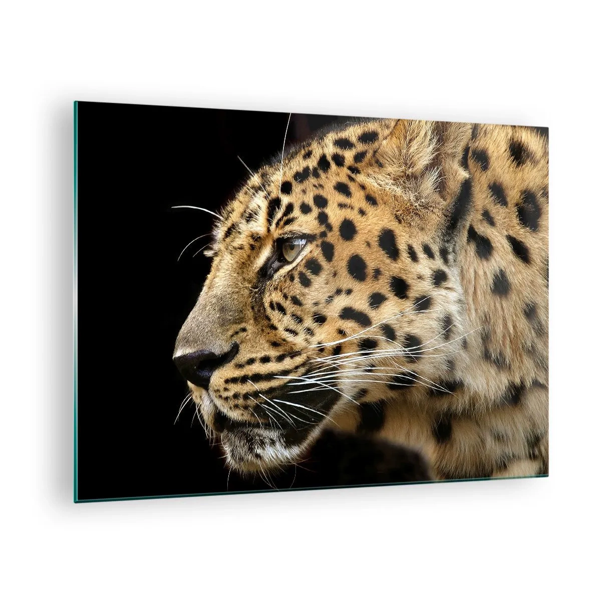 Quadro em vidro - Perfil de um leopardo em um fundo preto - 70x50cm - Calmo, focado, pronto - Decoração de parede moderna para a sala de estar e quarto ARTTOR