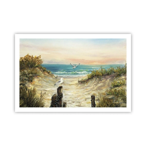 Pôster - Refúgio sem vento - 91x61 cm