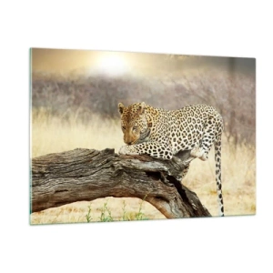 Quadro em vidro - Eu sigo o meu próprio caminho - 120x80 cm