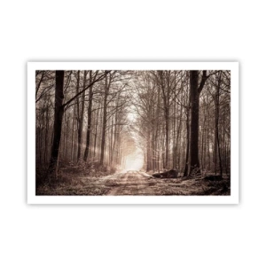 Pôster - Catedral na Floresta - 91x61 cm