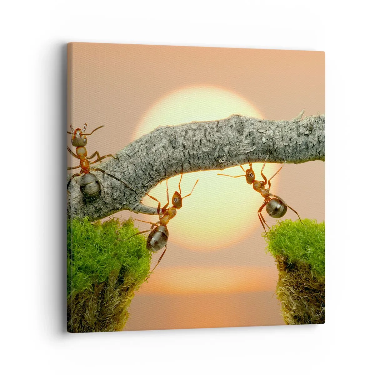 Quadro em tela - Trabalho alegre e colaborativo - 40x40 cm