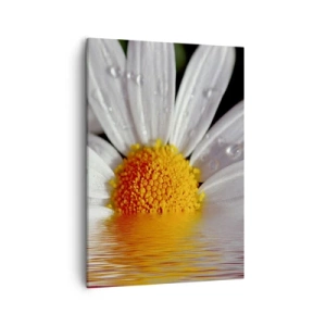 Quadro em tela - As margaridas do sol nascente - 50x70 cm