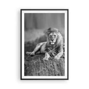 Pôster com moldura preta - Sesta real - 61x91 cm