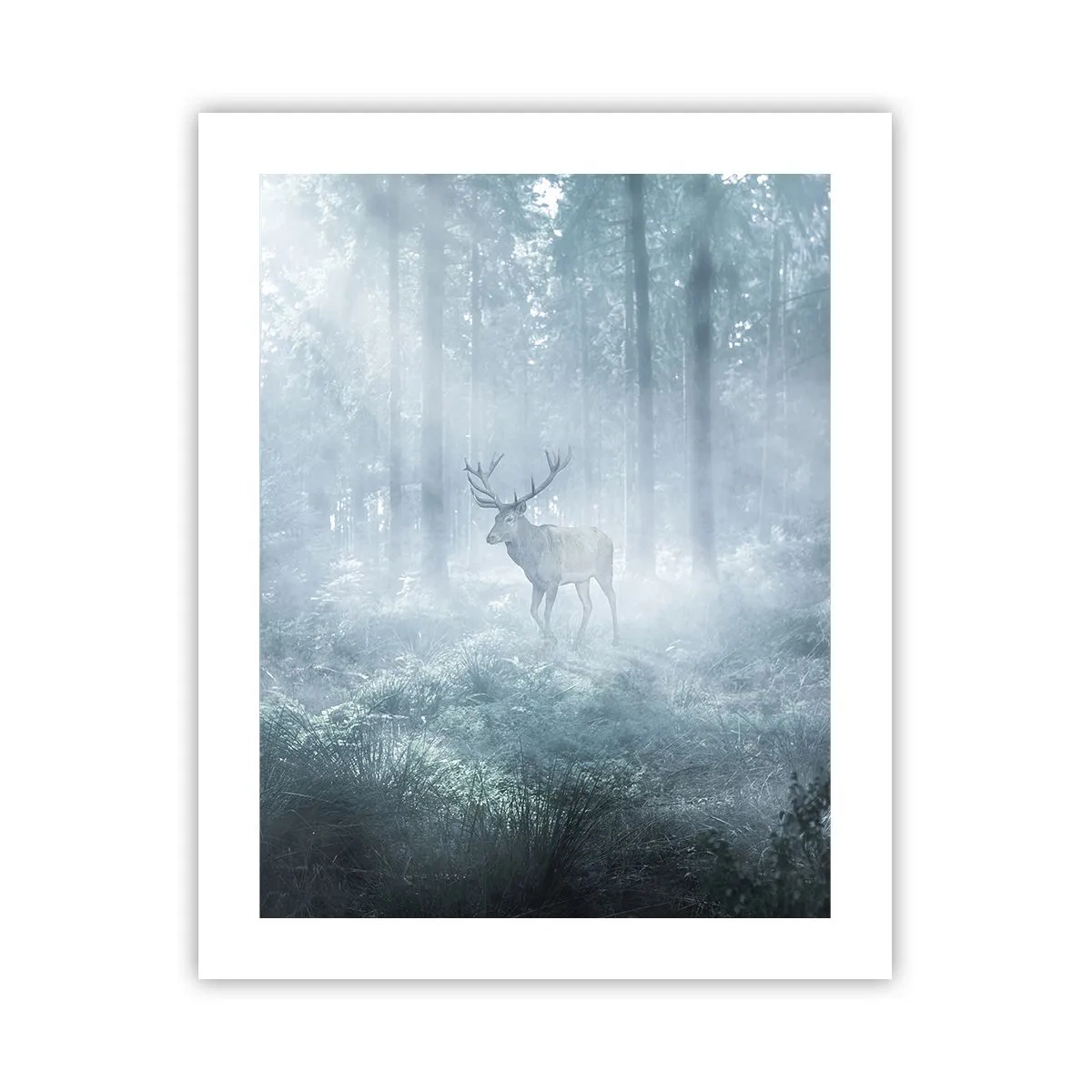 Pôster - Passeio matinal à volta da propriedade - 40x50 cm