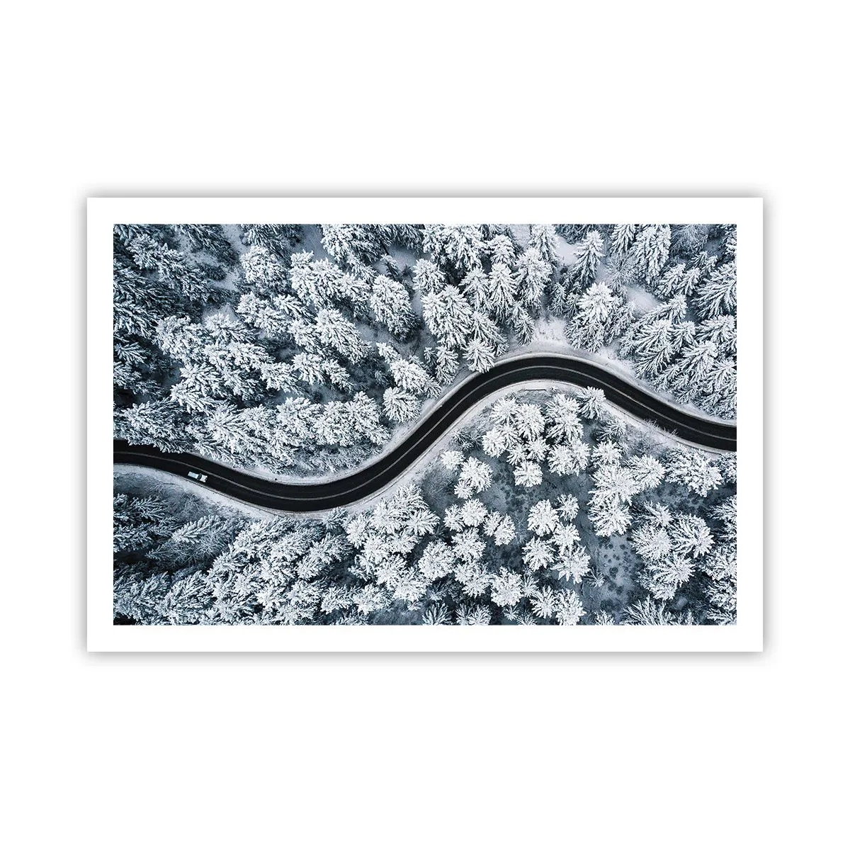 Pôster - Pelaa floresta no inverno - 91x61 cm