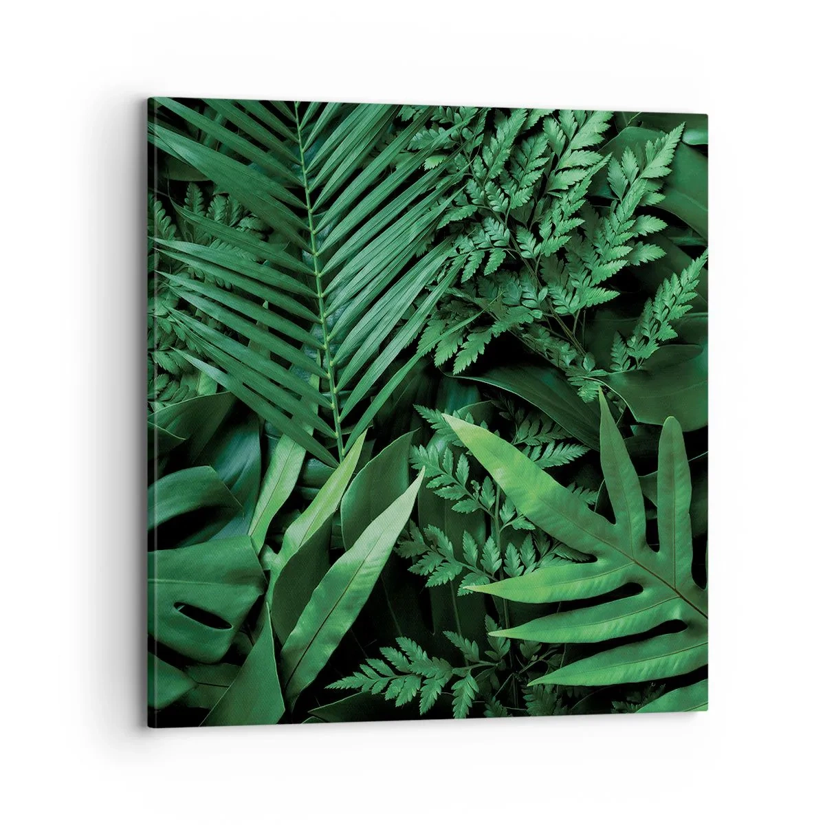 Quadro em tela - Envolto em verde - 70x70 cm
