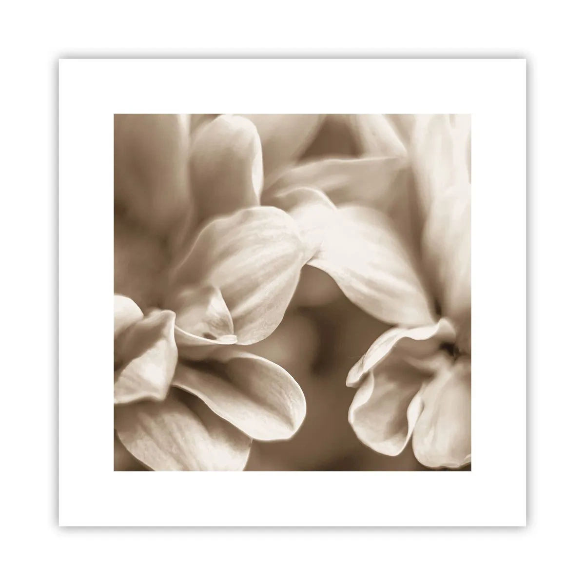 Pôster - Gentil como um sorriso - 30x30 cm