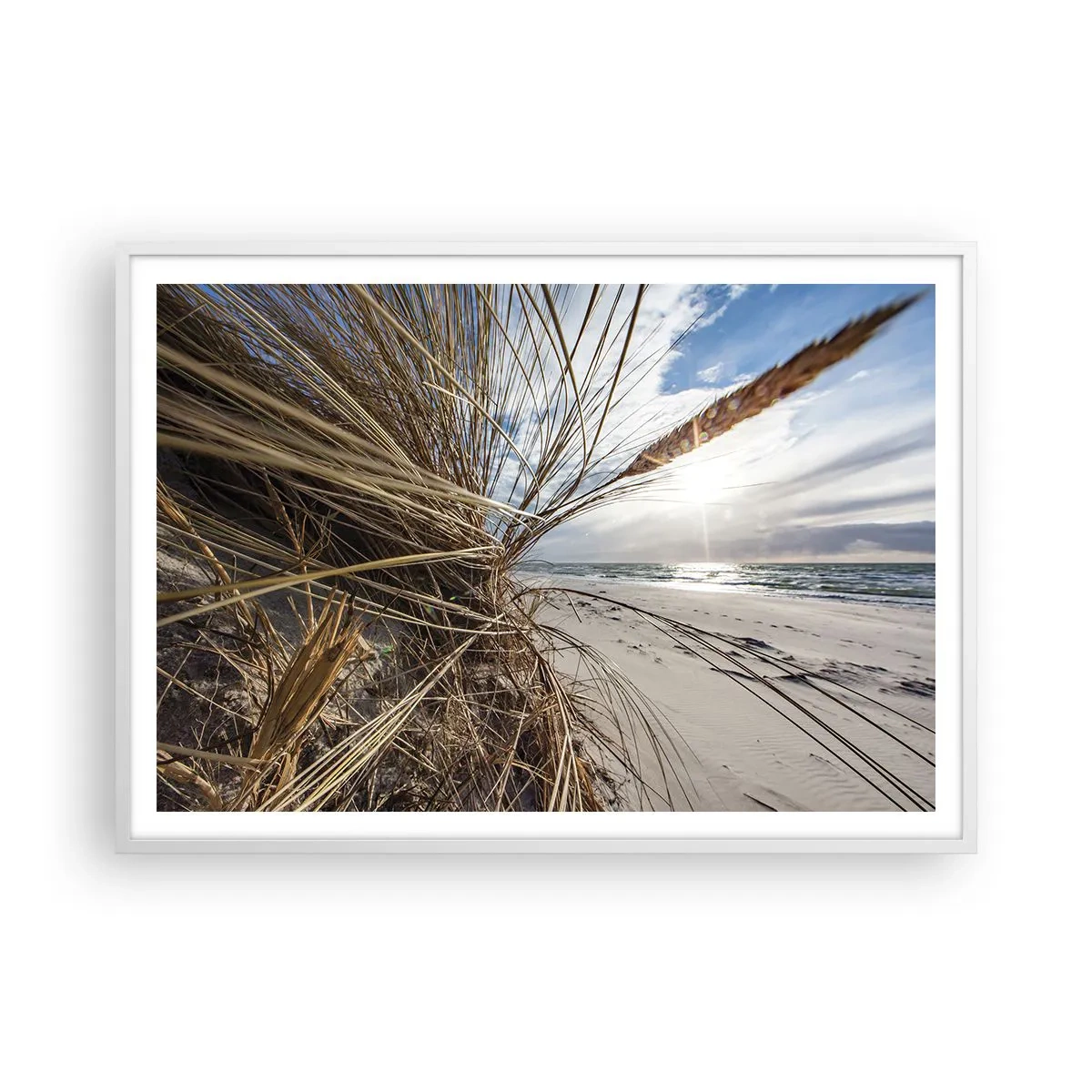 Pôster em moldura branca - Reunião dos rlementos da natureza - 100x70 cm