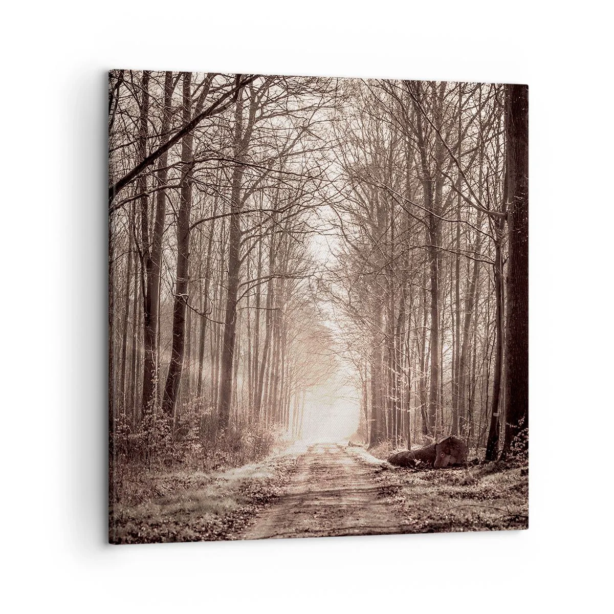 Quadro em tela - Catedral na Floresta - 50x50 cm