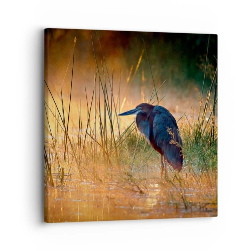 Quadro em tela - Já chega de fotos - 30x30 cm