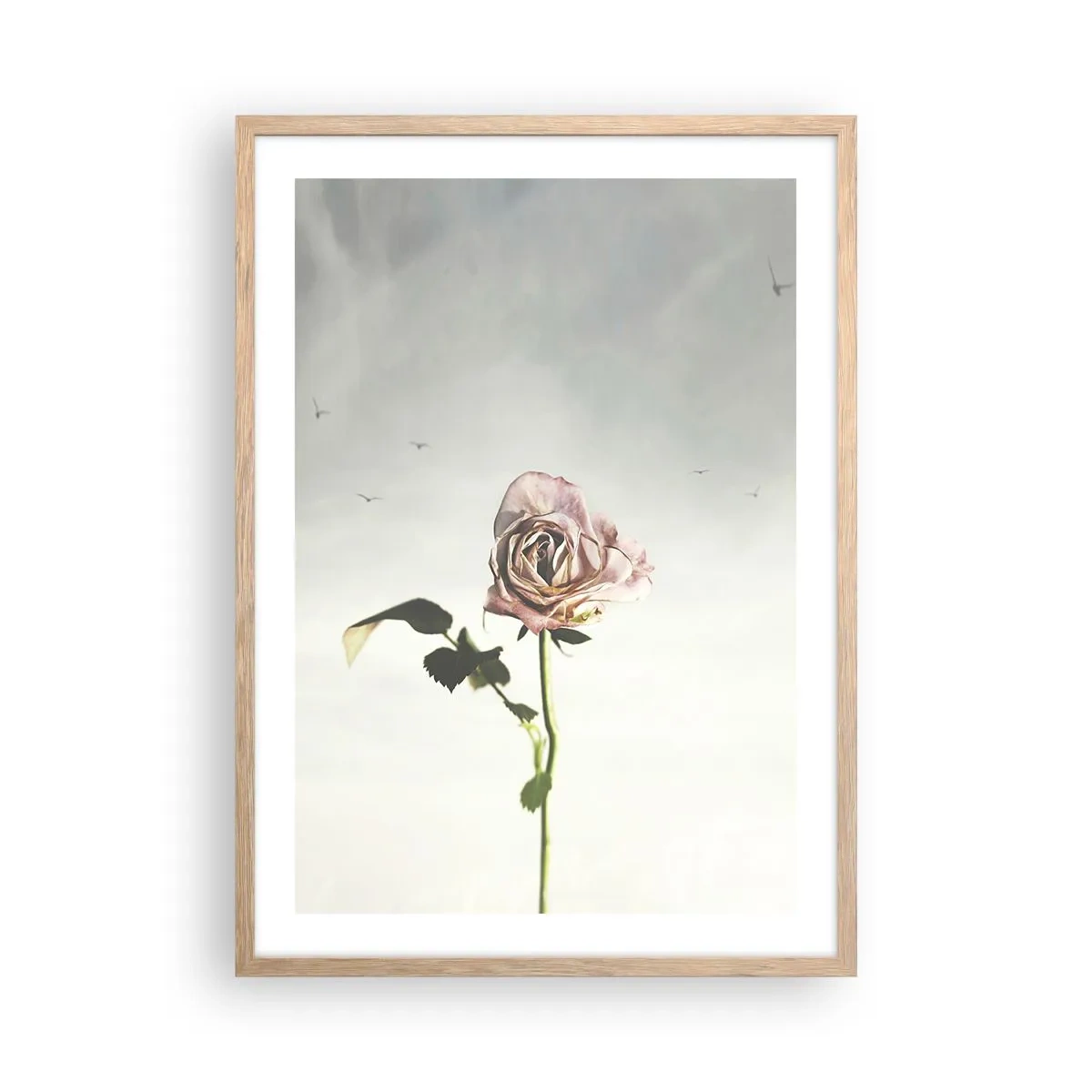 Pôster com moldura de carvalho claro - Boas-vindas da primavera - 50x70 cm