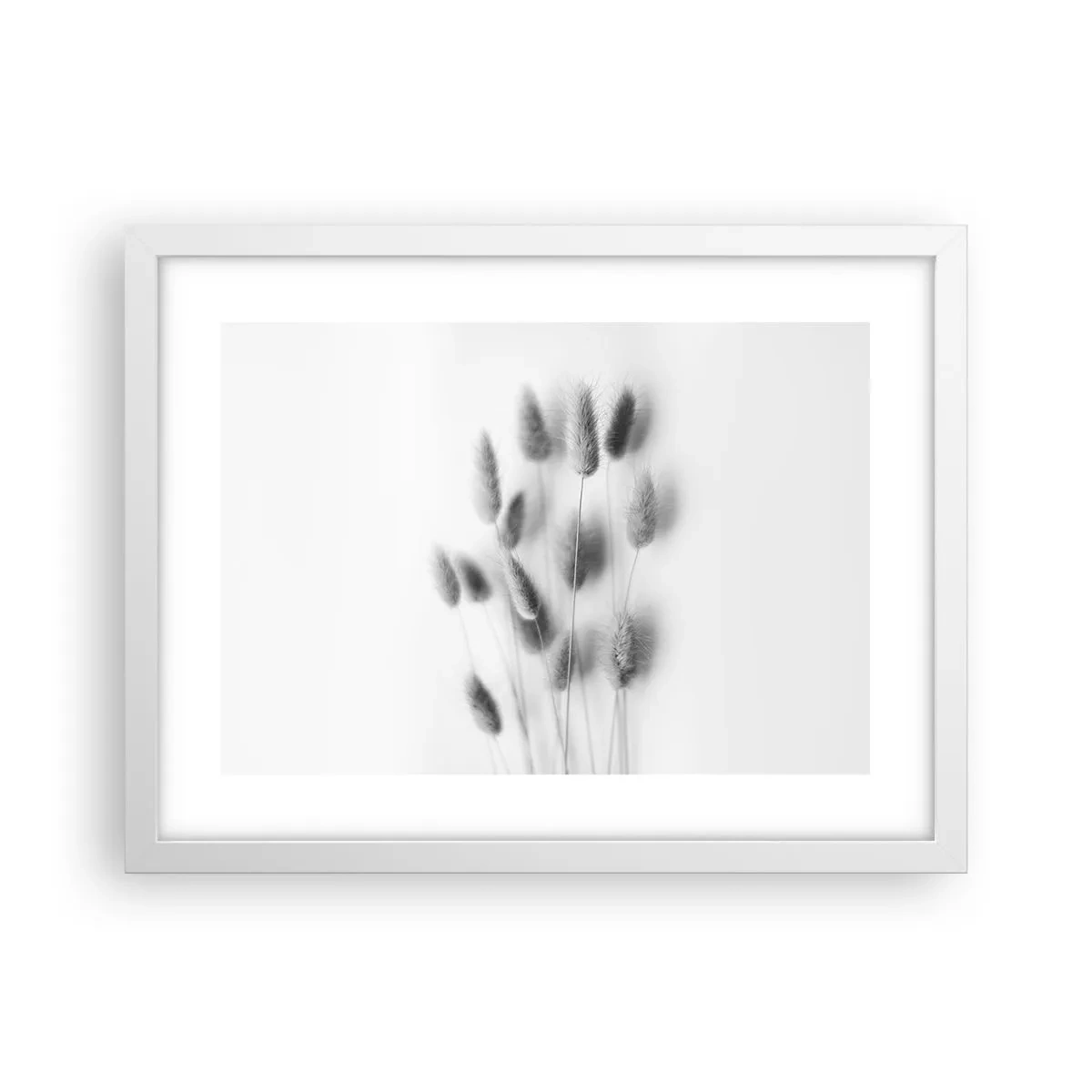 Pôster em moldura branca - Grama fofa - 40x30 cm