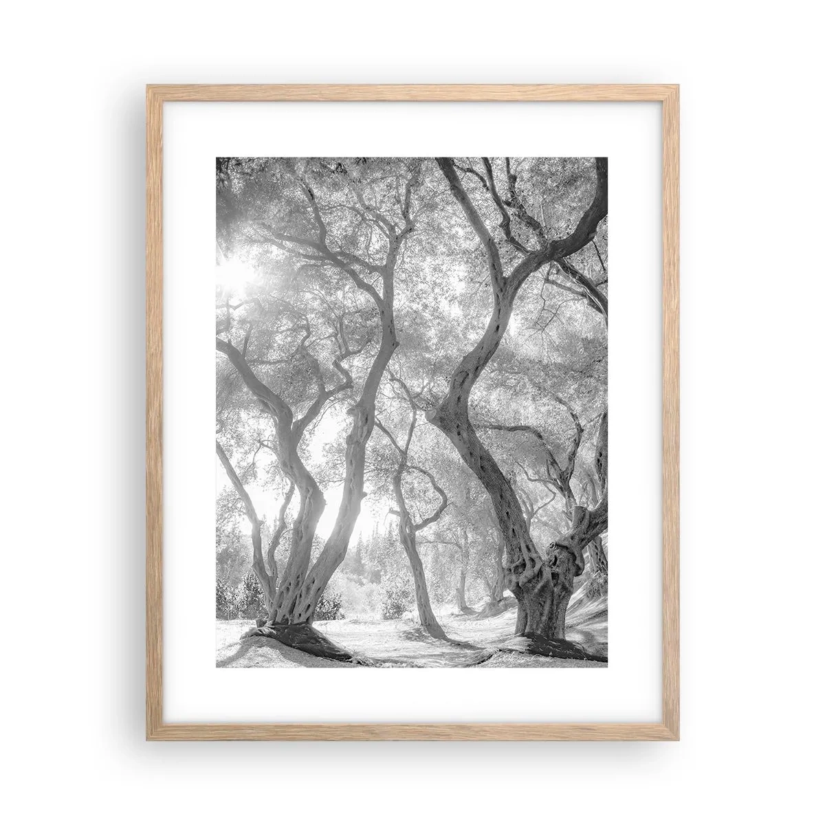 Pôster com moldura de carvalho claro - No olival - 40x50 cm