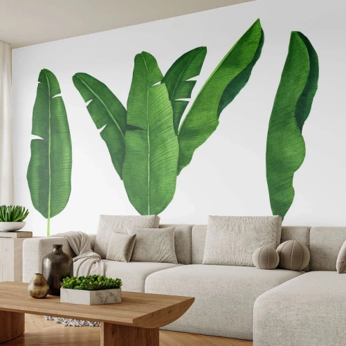Papel de Parede Premium Canvas - Simetria verde - Folha de banana, Tropical, Estilo Botânico - 350x256 cm