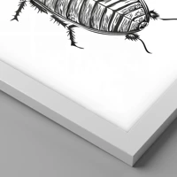 Branco
