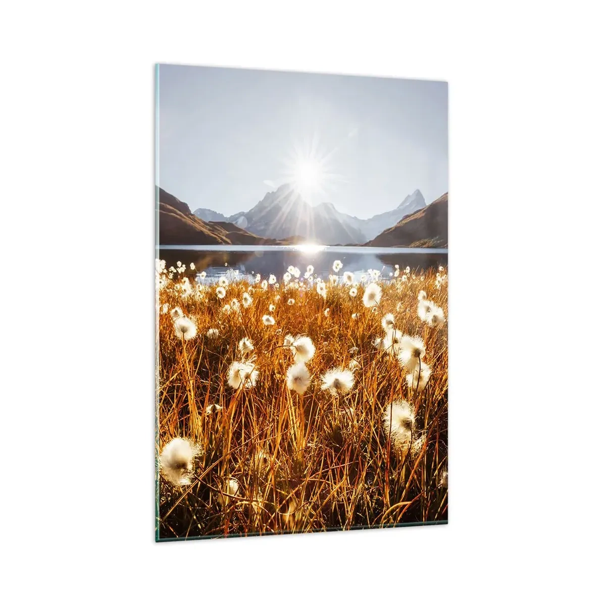 Quadro em vidro - Dureza da rocha, suavidade da relva - 80x120 cm