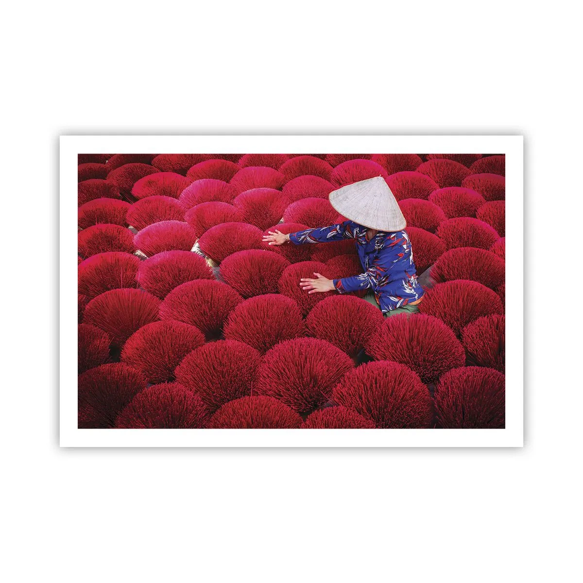 Pôster - No campo de arroz - 91x61 cm