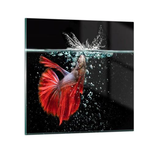 Quadro em vidro - Tens três desejos - 70x70 cm