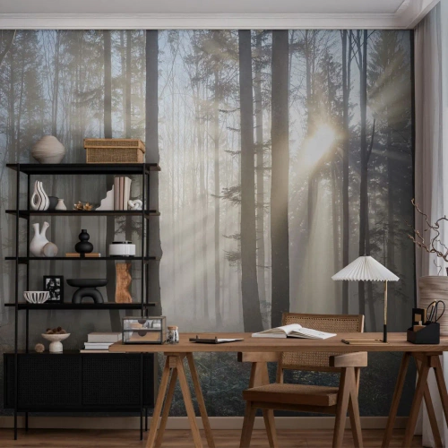 Papel de parede personalizado Standard Eco - O nevoeiro também acordou - Paisagem, Floresta, Névoa