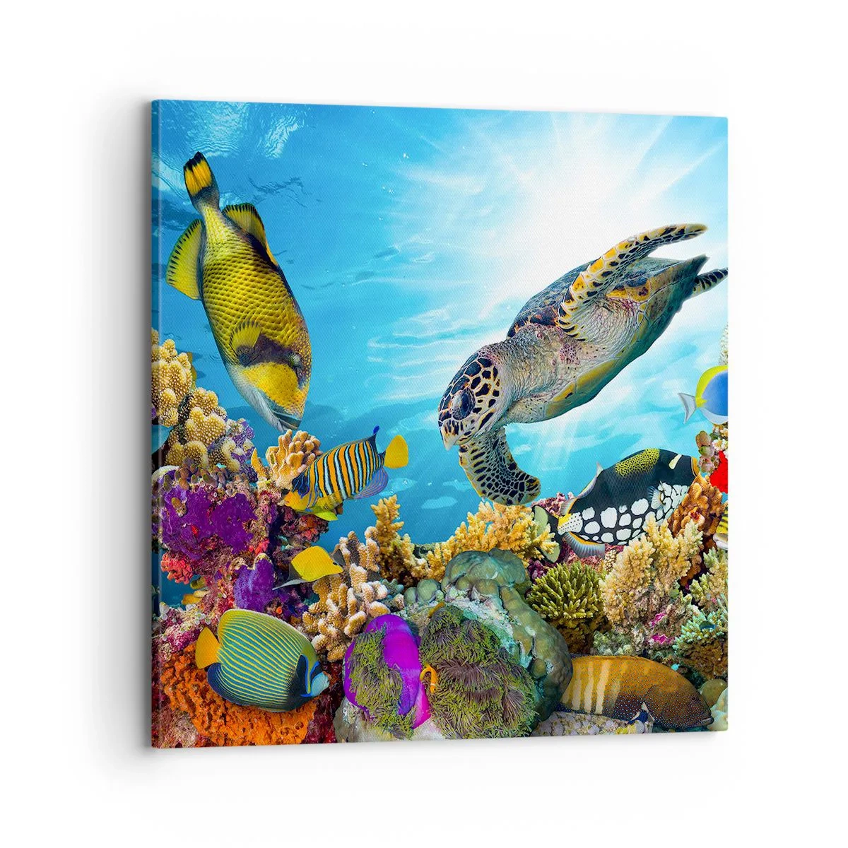 Quadro em tela - Alameda dos corais - 70x70 cm
