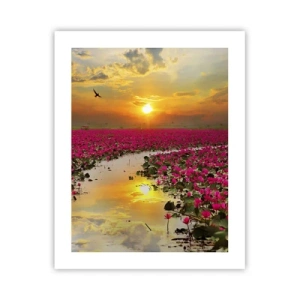 Pôster - A vida secreta do lago - 40x50 cm