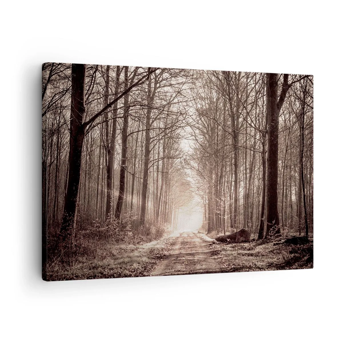 Quadro em tela - Um caminho na floresta entre árvores em tons de sépia - 70x50cm - Catedral na Floresta - Decoração de parede moderna para a sala de estar e quarto ARTTOR