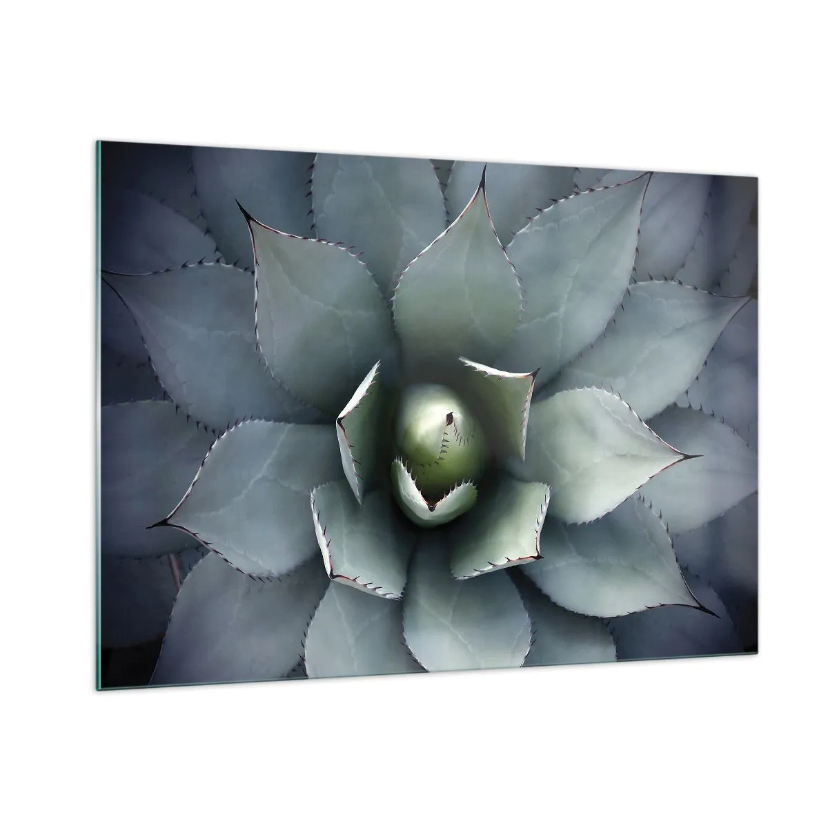 Quadro em vidro - Atrai e adverte - 100x70 cm