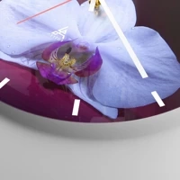 Mostrador com traços