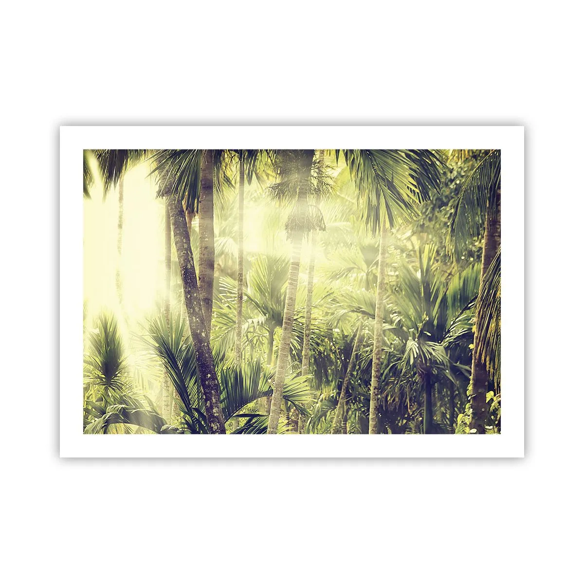 Pôster - No calor verde - 70x50 cm