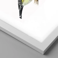 Branco
