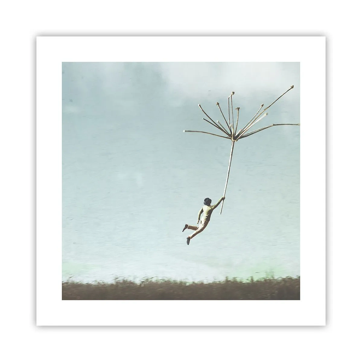 Pôster - Papagaios, balões, vento - 40x40 cm