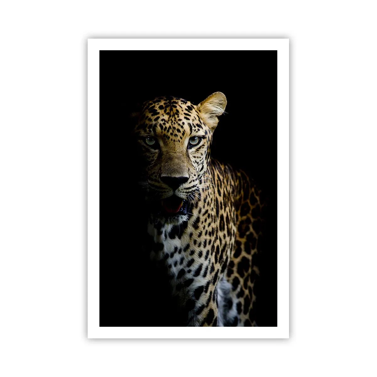 Pôster - Beleza escura - 61x91 cm