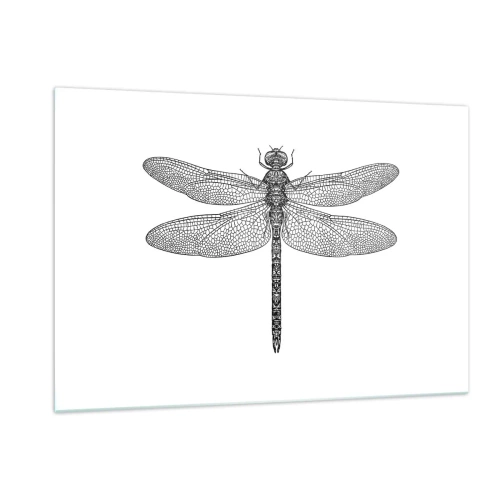 Quadro em vidro - Precisão da natureza - 120x80 cm