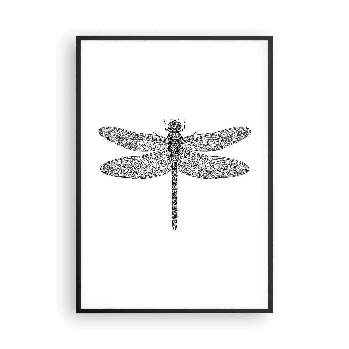 Pôster com moldura preta - Precisão da natureza - 70x100 cm