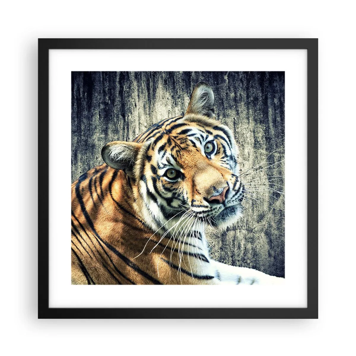 Pôster com moldura preta - Retrato em feixes de luz - 40x40 cm