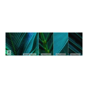 Amostra de papel de parede Premium Sand - Anatomia da vegetação - Folhas verdes, Planta tropical, Natureza - 100x30 cm