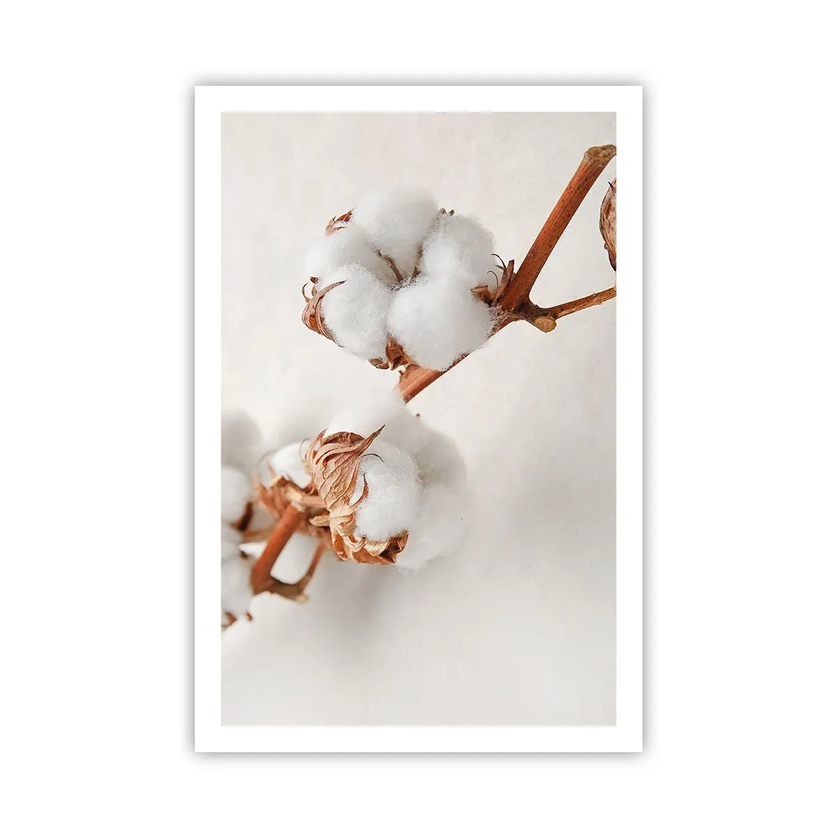 Pôster - Apenas acaricie - 61x91 cm